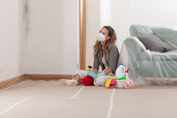 Reliable Mold Inspection And Testing contractor in Linthicum Heights, MD by Mold Remediation HQ